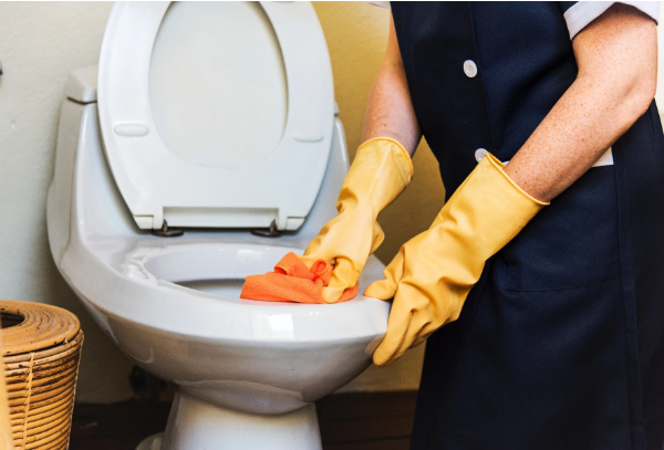 Toilet Cleaning