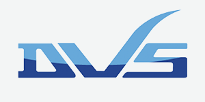 Dart Valley Systems Logo