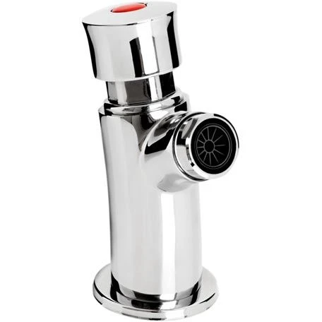 Single Soft Touch Timed Flow Bib Tap with flow regulator