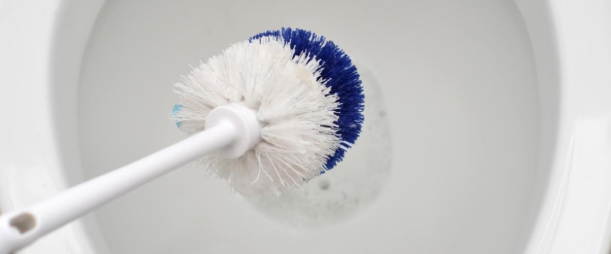 How Often Should You Replace Your Toilet Brush?
