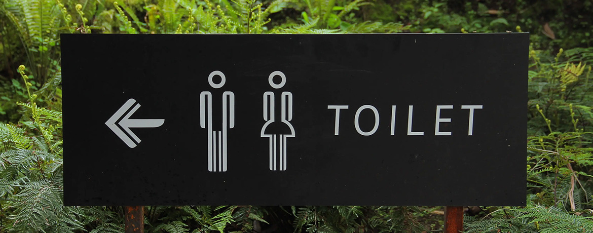 The Toilet That Uses No Water and Produces Energy from Human Waste
