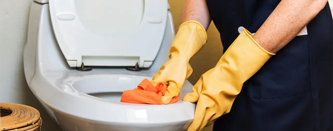 Innovation in Toilet Hygiene: Meet the 'Lifty Loo'