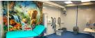 Changing Places Toilets - what you need to know