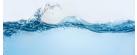How Much Water Does A Low Flow Shower Head Save?