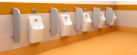 SGL Urinal Dividers: A Strike Against Covid