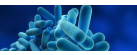 Legionella Checks: Reducing The Risks