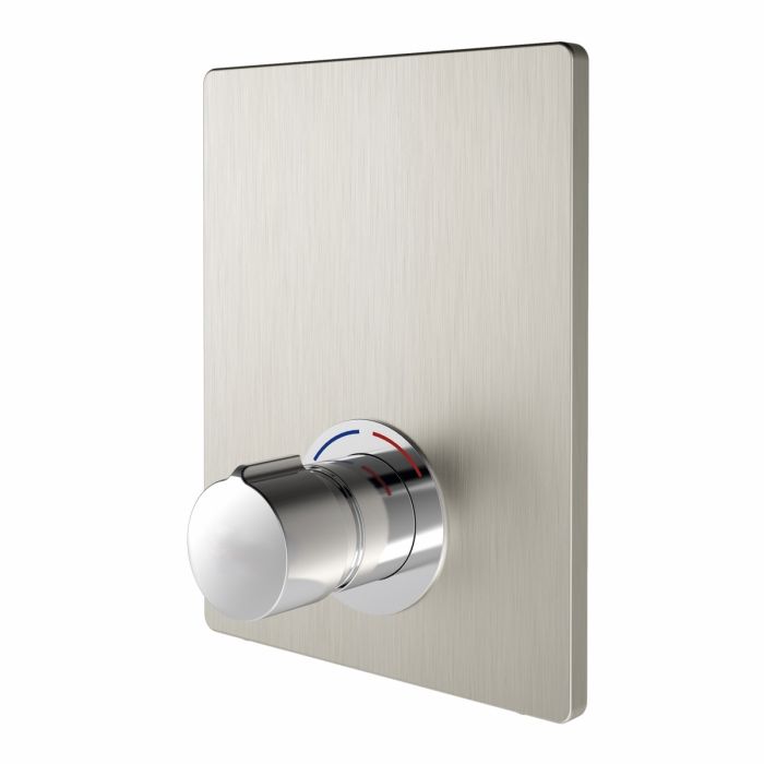 Delabie DVS F3S Non-Concussive Shower Valve With Stainless Steel Cover Plate, F3SV2005 Delabie DVS F3S Non-Concussive Shower Valve With Stainless Steel Cover Plate, F3SV2005