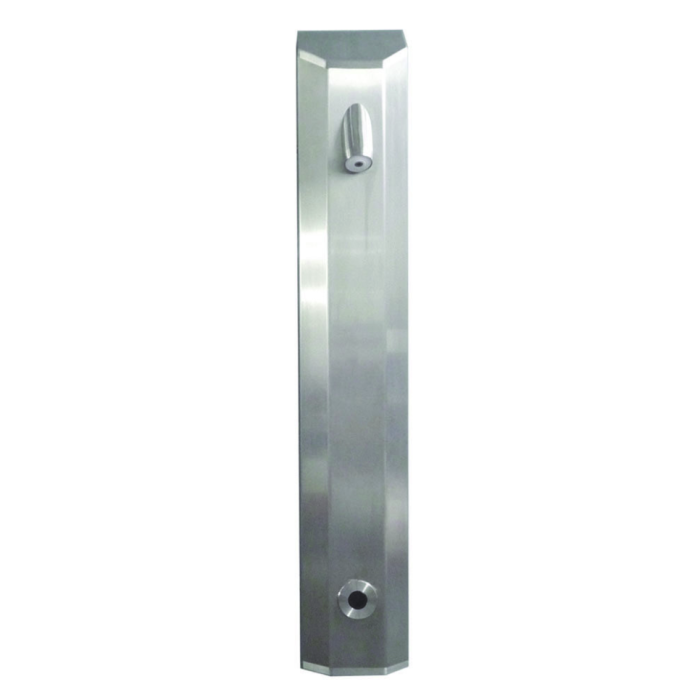 DVS Standard Push Button Shower Panel with High Security Head