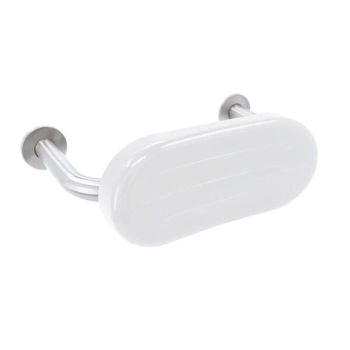 Dolphin Dispensers Stainless Steel Padded Backrest Dolphin Dispensers Stainless Steel Padded Backrest