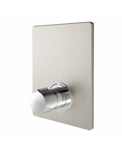 Delabie DVS F3S Non-Concussive Shower Valve With Stainless Steel Cover Plate, F3SV2005
