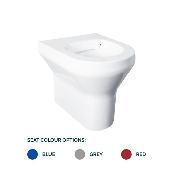 Delabie DVS Back to Wall Vandal Resistant Composite Toilet