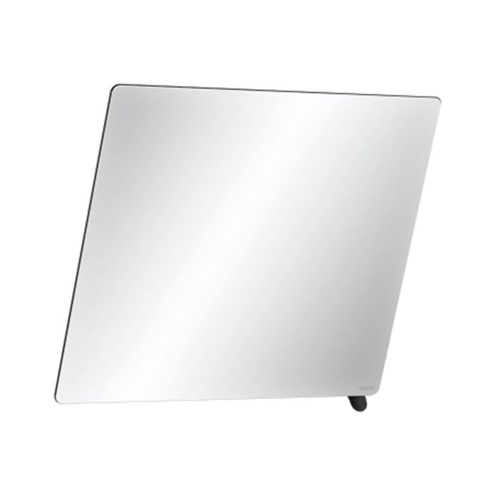 Delabie Tilting Mirror With Handle