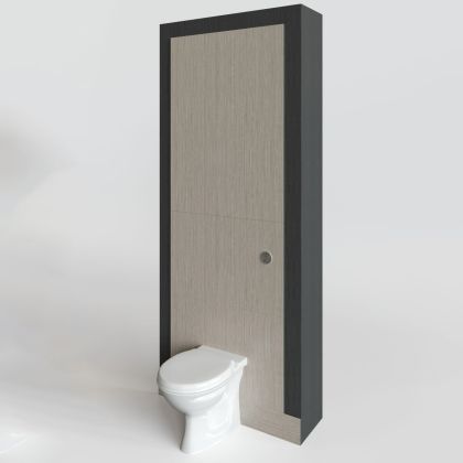 Back to Wall Toilet IPS (Integrated Plumbing System)