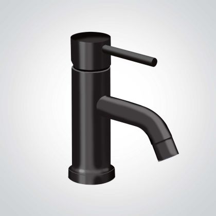 Dolphin Monobloc Lever Operated Mixer Tap - Black