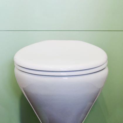 Blanc Toilet Seat and Cover for School Height Toilet