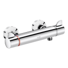 Delabie SECURITHERM Securitouch Thermostatic Shower Mixer with Optional Shower Head