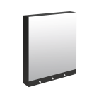 Delabie 4 in 1 Mirror Box Unit with Integrated Tap, Soap and Hand Dryer/Paper Towel Dispenser