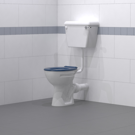 Fitzroy Of London Low level Disabled Toilet with Ring Only Toilet Seat
