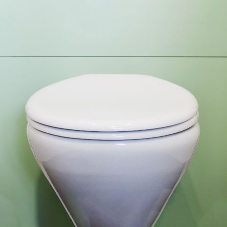 Blanc Toilet Seat and Cover