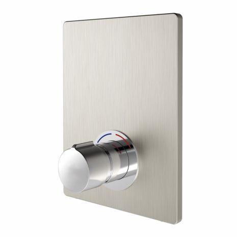 Delabie DVS F3S Non-Concussive Shower Valve With Stainless Steel Cover Plate, F3SV2005