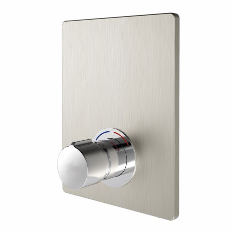 Delabie DVS F3S Non-Concussive Shower Valve With Stainless Steel Cover Plate, F3SV2005