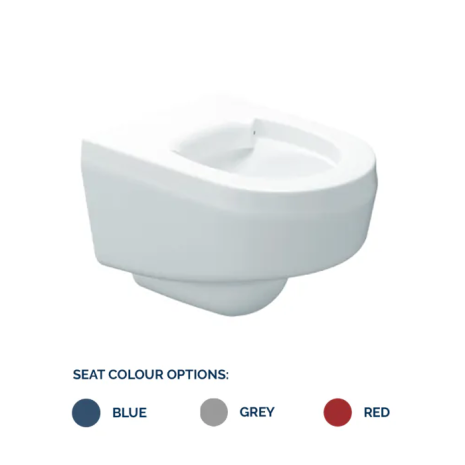 Delabie DVS Wall Hung Vandal Resistant Toilet