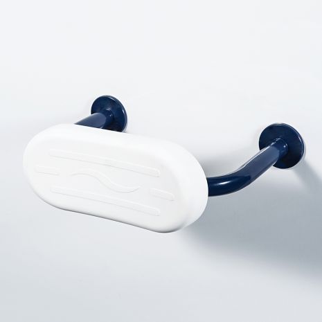 Stainless Steel back rest rail with pad | Concealed Fixings | Commercial Washrooms