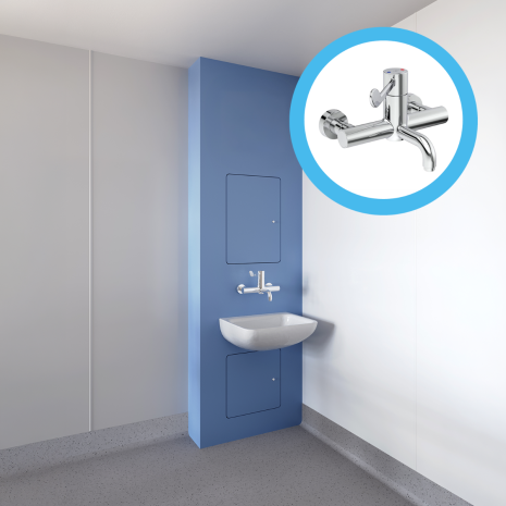 Healthcare Basin IPS Unit with Markwik 21+ Pressure Balancing Valve (PVB) Tap
