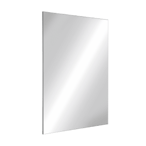 Delabie Polished Stainless Steel Vandal-Resistant Washroom Mirror
