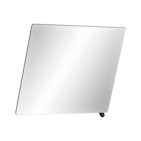 Delabie Tilting Mirror With Handle