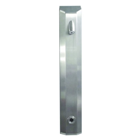 DVS Standard Push Button Shower Panel with High Security Head
