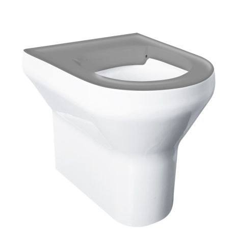Delabie DVS Back to Wall Vandal Resistant Toilet, VR01-010