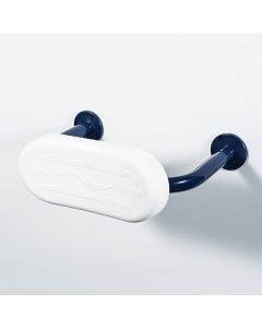 Stainless Steel back rest rail with pad | Concealed Fixings | Commercial Washrooms