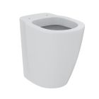 Armitage Shanks Edit Assist Back to Wall Raised Height Toilet | Commercial Washrooms