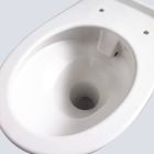 School Height Rimless Back to Wall Toilet 355mm High