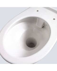 School Height Rimless Back to Wall Toilet 355mm High