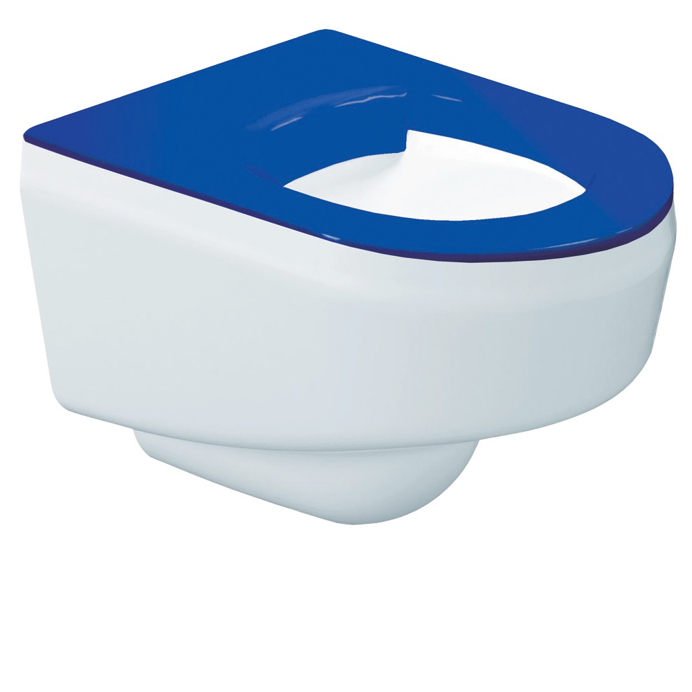 DVS Wall Hung Vandal Resistant Toilet with Blue Seat