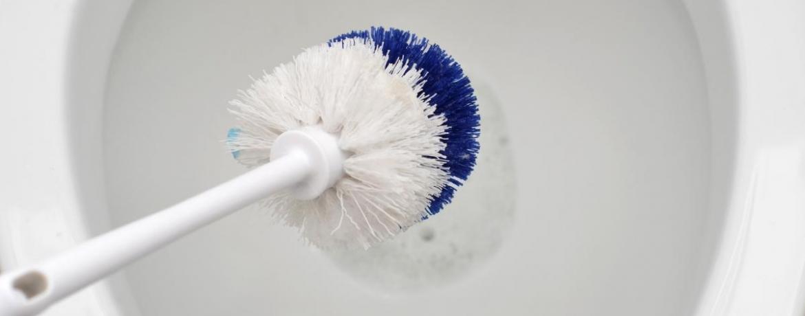 Washroom brush hot sale