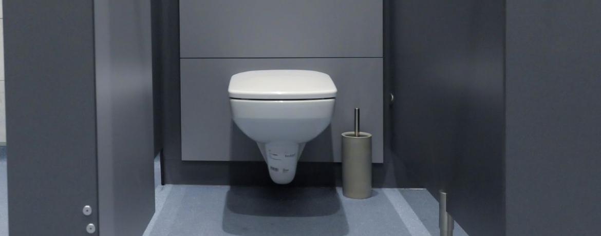 Wall store mounted wc