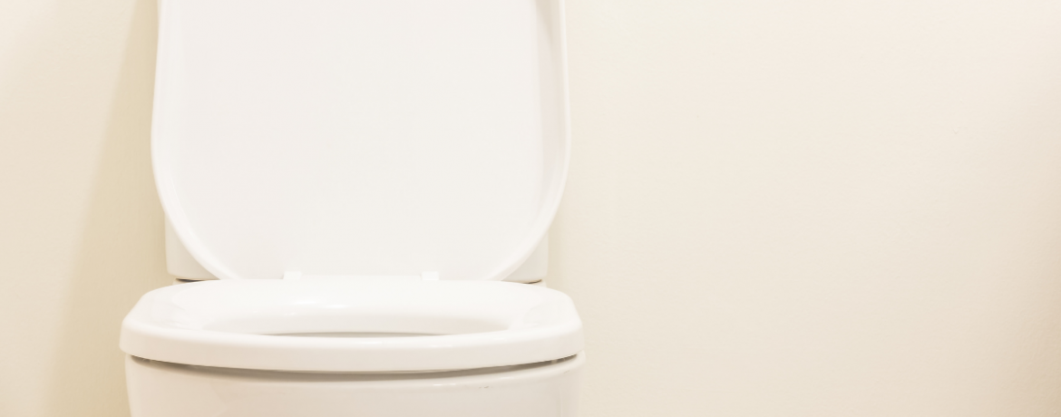 Types of Toilet Seats