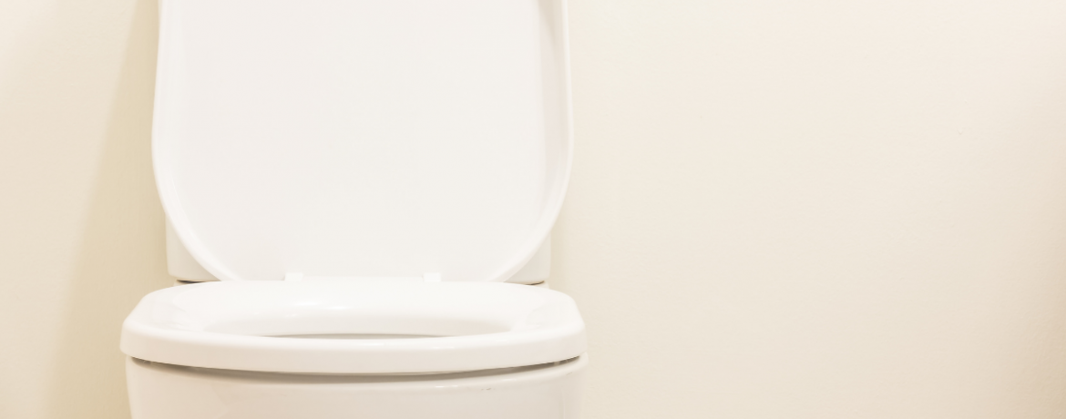 Clean Your Wood Toilet Seat Properly