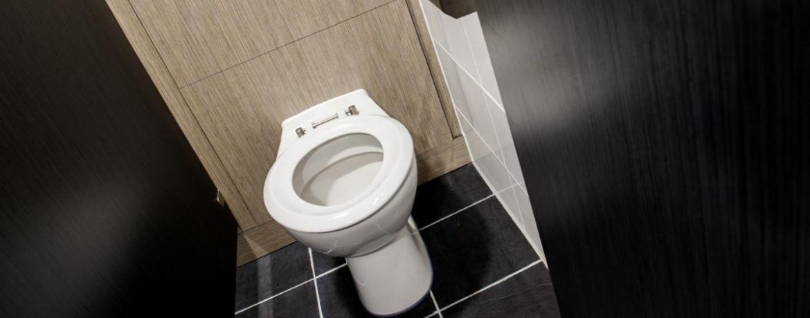 What are the different types of toilets?