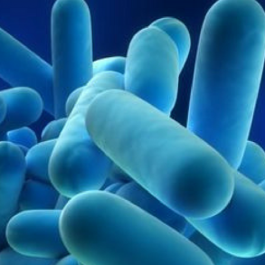 Legionella Checks: Reducing The Risks in Washrooms