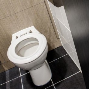 What are the different types of toilets?