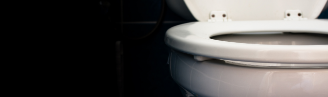What is a Low Level Toilet