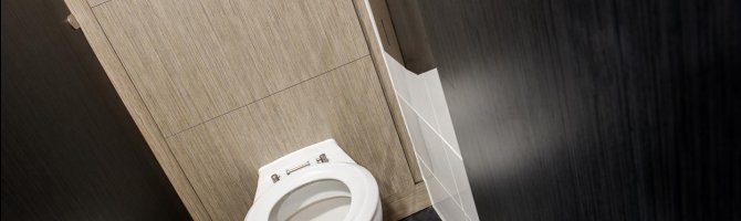 What are the different types of toilets?