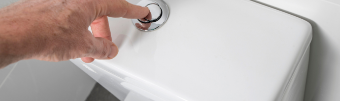 Types Of Toilet Flush Systems