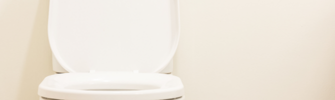 Types of Toilet Seats