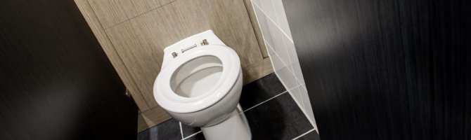 What are the different types of toilets?