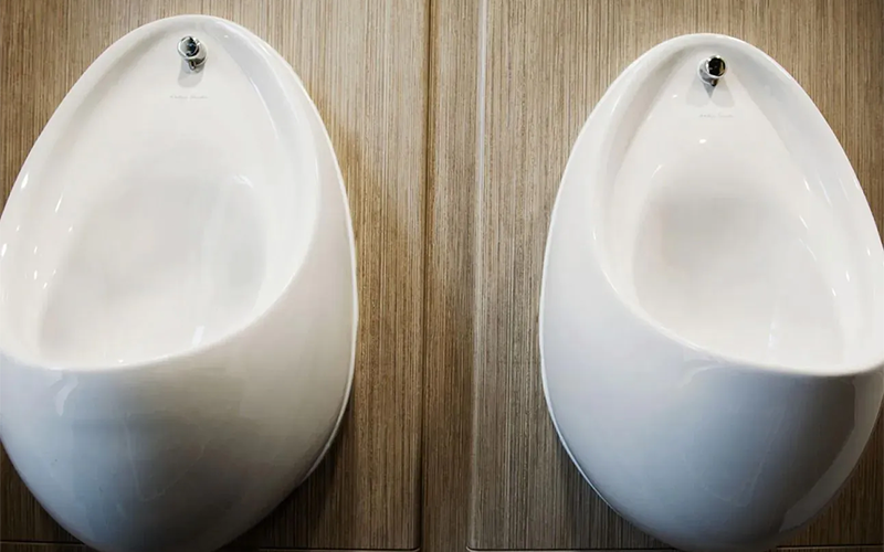 Cambridge University